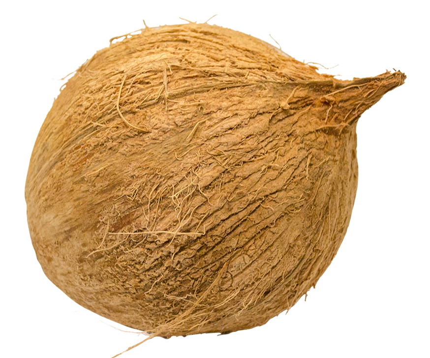 coconut images, coconut png, coconut png image, coconut transparent png image, coconut png full hd images download